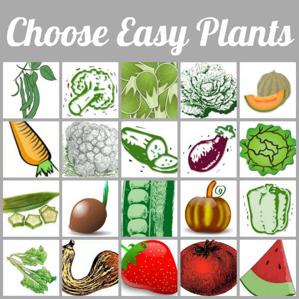 how to plant a spring garden: choose easy plants