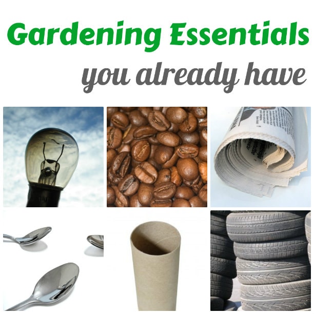 gardening essentials
