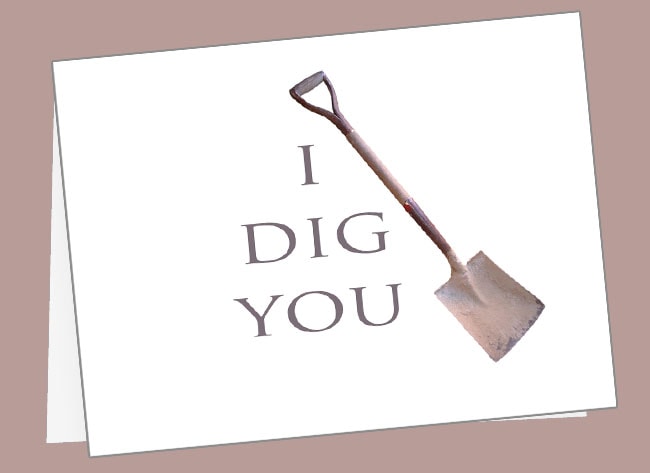 dig you manly valentines