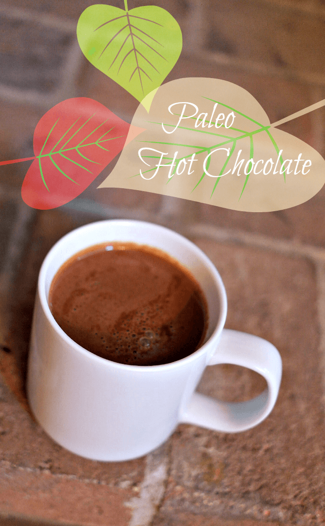 Paleo Hot Chocolate #paleo