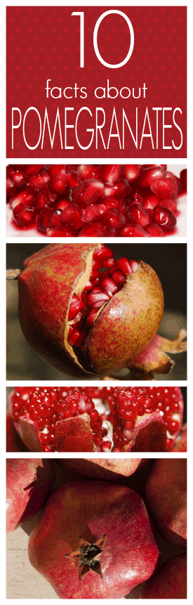 10 Facts about Pomegranates