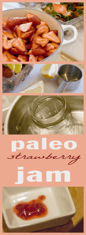 How to make paleo strawberry jam - no sugar