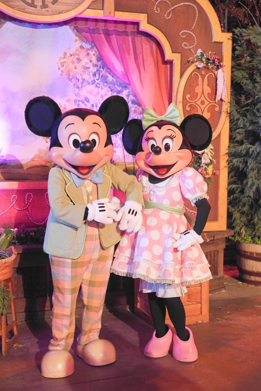 meet the characters on a Disney vacation