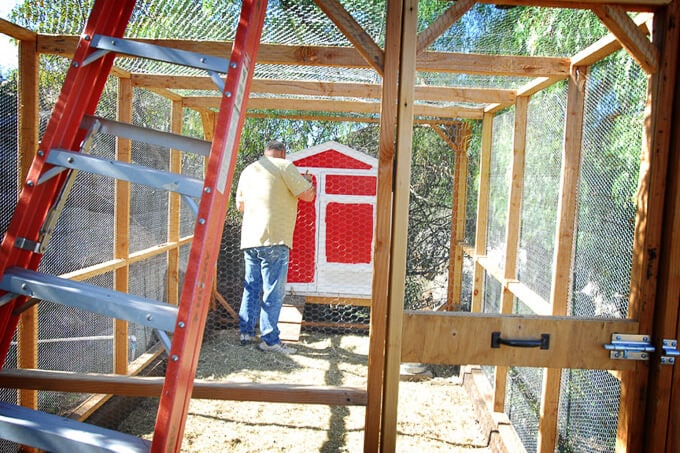 Painting the chicken coop with "Red My Mind"