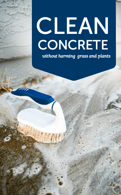 How to clean concrete without harming plants