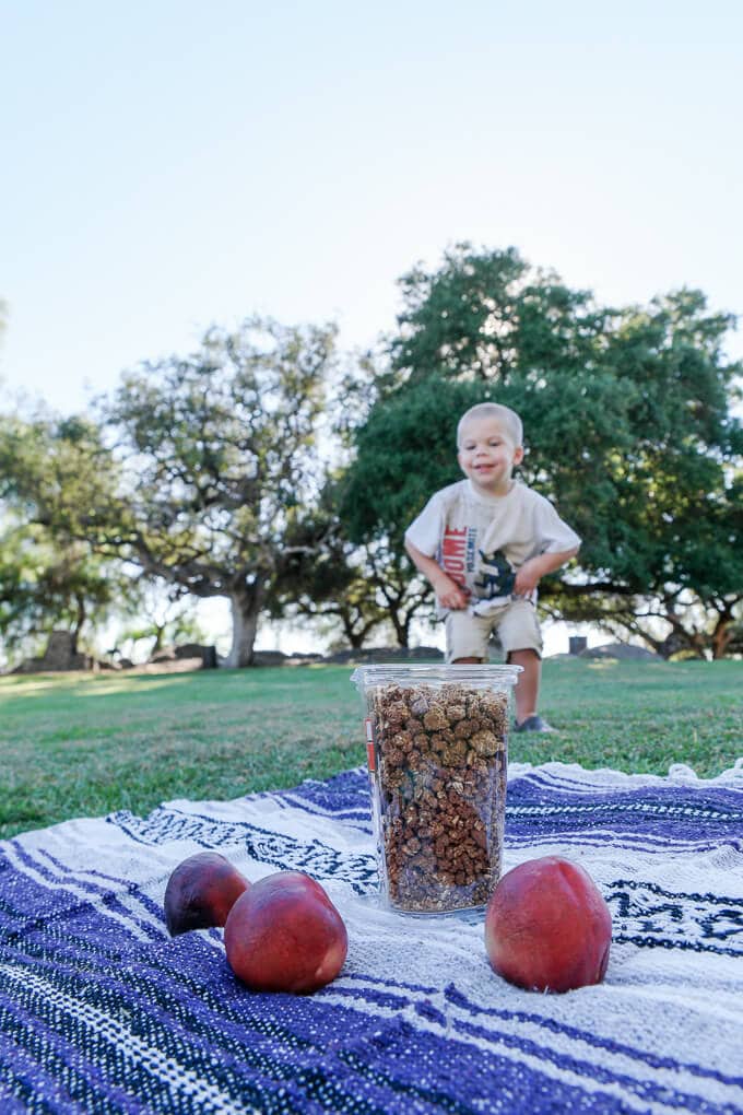 5 Easy Family Picnic tips to help keep kids and food coordinated