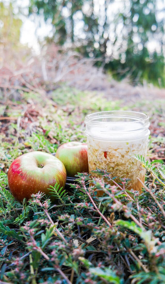 Apple sugar scrub (three ingredient, semi-DIY) makes an easy holiday gift