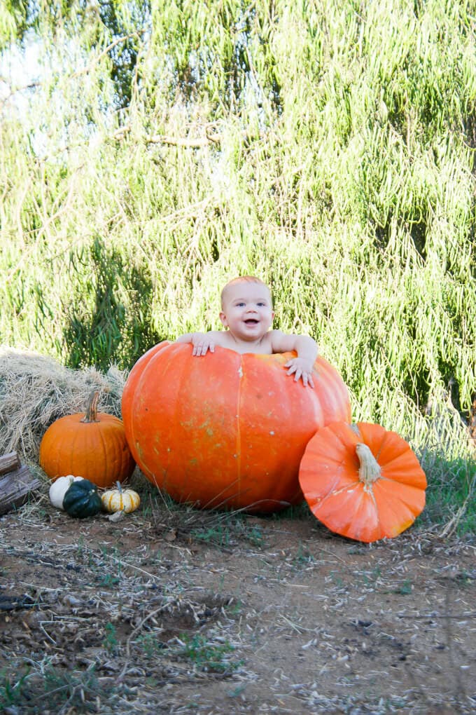 Taking a photo of a baby in a pumpkin is an easy and cute fall harvest tradition (and it doesn't take a ton of time since you're probably carving a pumpkin anyway, and likely giving baby a bath at some point soon)