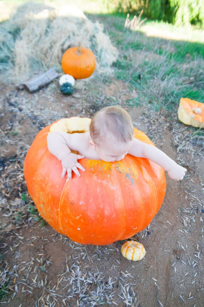 Taking a photo of a baby in a pumpkin is an easy and cute fall harvest tradition (and it doesn't take a ton of time since you're probably carving a pumpkin anyway, and likely giving baby a bath at some point soon)