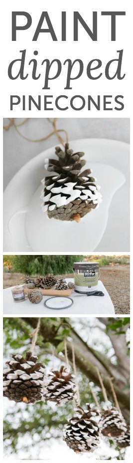 Paint-dipped pinecones - the perfect Christmas decoration for outdoors or in