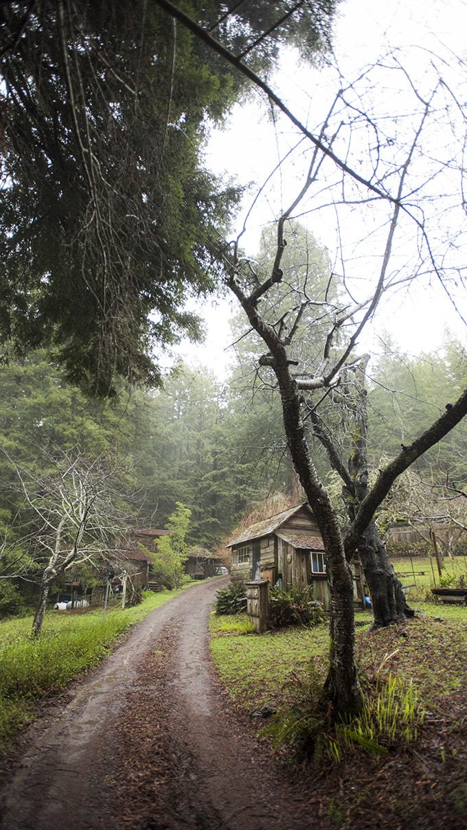 The hictoric Little River Inn in Mendocino County, CA.