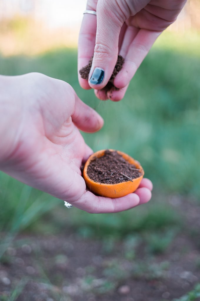 Make an easy, biodegradable mandarin planter (this is the perfect way to teach kids about gardening and sustainability around Earth Day!)