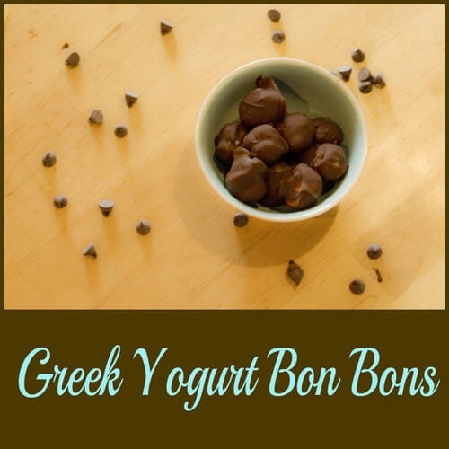 Greek Yogurt Bon Bons from Someday I'll Learn