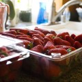 strawberry flat