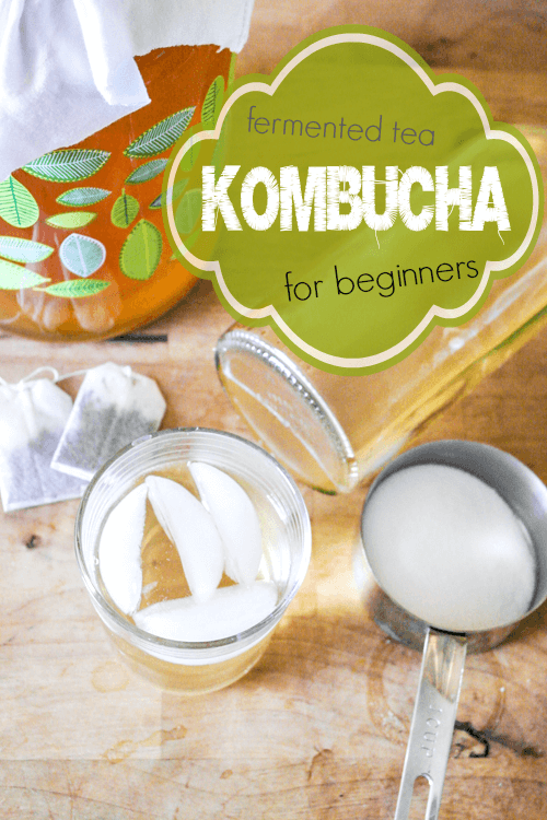 How to make kombucha (the easy way). Great intro for beginners and soooo many health benefits from fermentation!