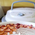 How to make strawberry chips (like veggie chips or banana chips) at home with a dehydrator