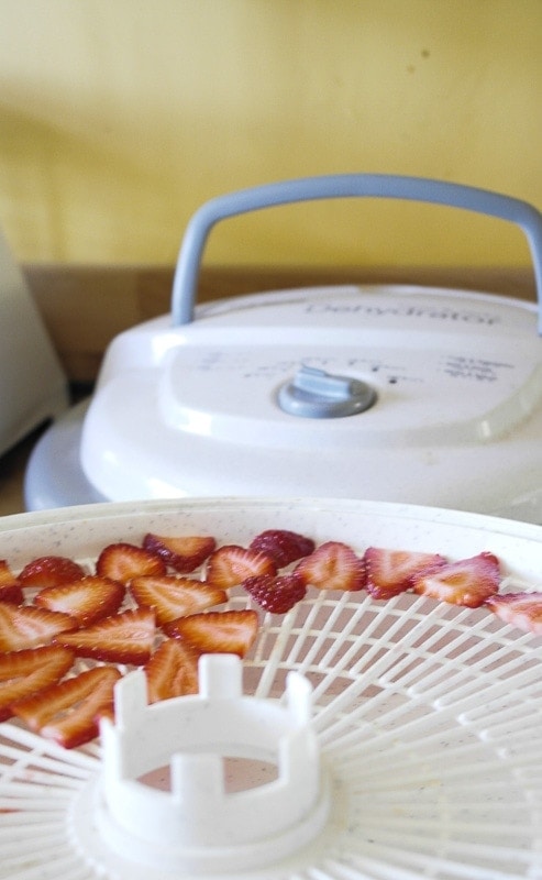 How to make strawberry chips (like veggie chips or banana chips) at home with a dehydrator