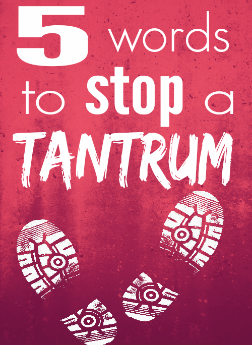 Stop a tantrum in just five words, and teach your child to help process their feelings