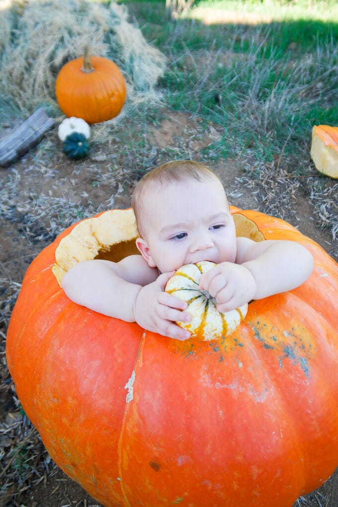 Happy October, Here's a Baby in a Pumpkin!