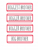 Big Brother Announcement