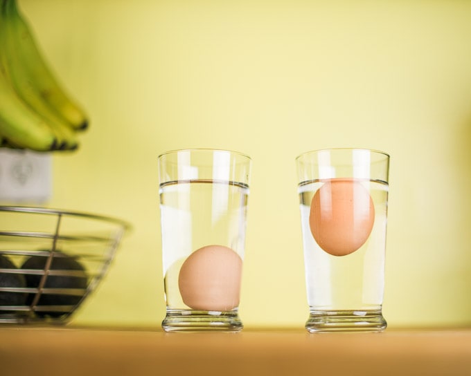 Do bad eggs float or sink? Find out in the bad egg experiment (such a fun activity for kids).