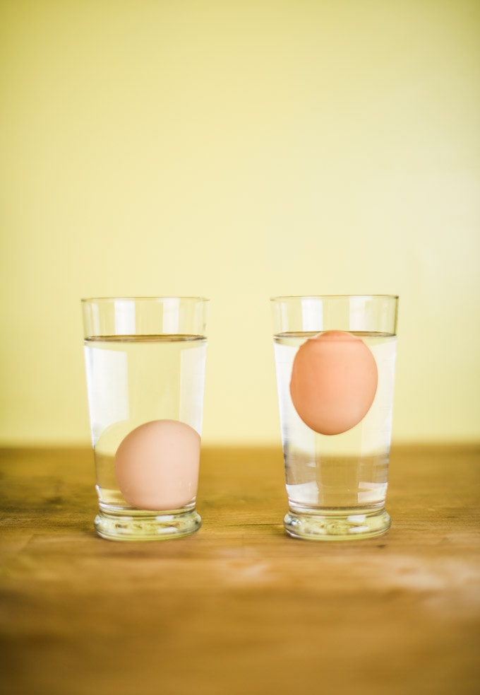 Do bad eggs float or sink? Find out in the bad egg experiment (such a fun activity for kids).