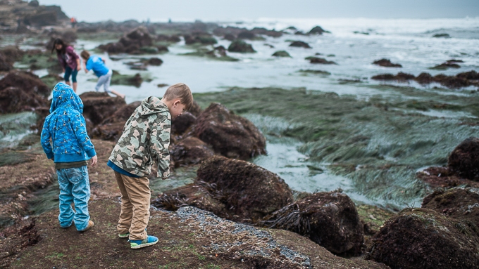 Point Loma Tidepools with kids
