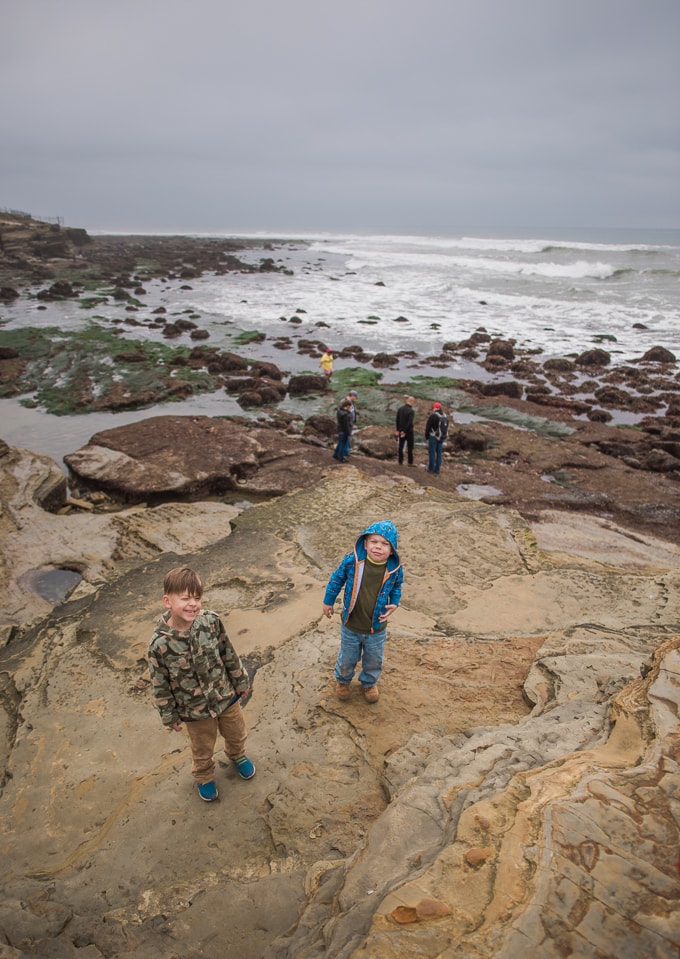 Point Loma tide pools | San Diego | California | Cabrillo National Monument