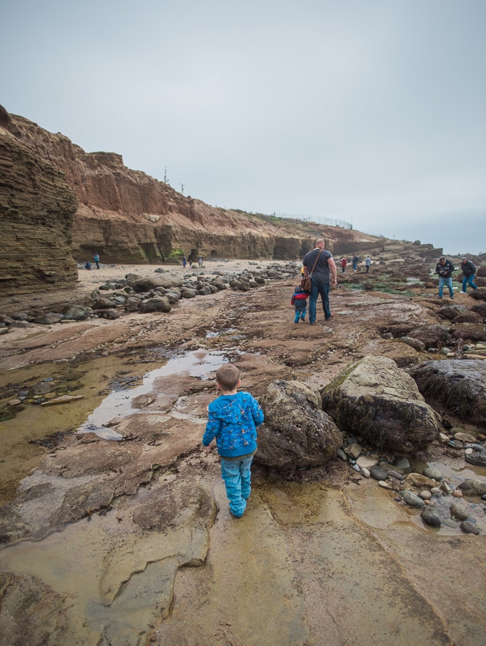 Point Loma tide pools | San Diego | California | Cabrillo National Monument