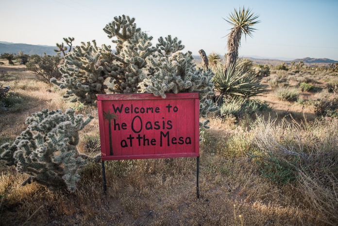 The Oasis at the Mesa