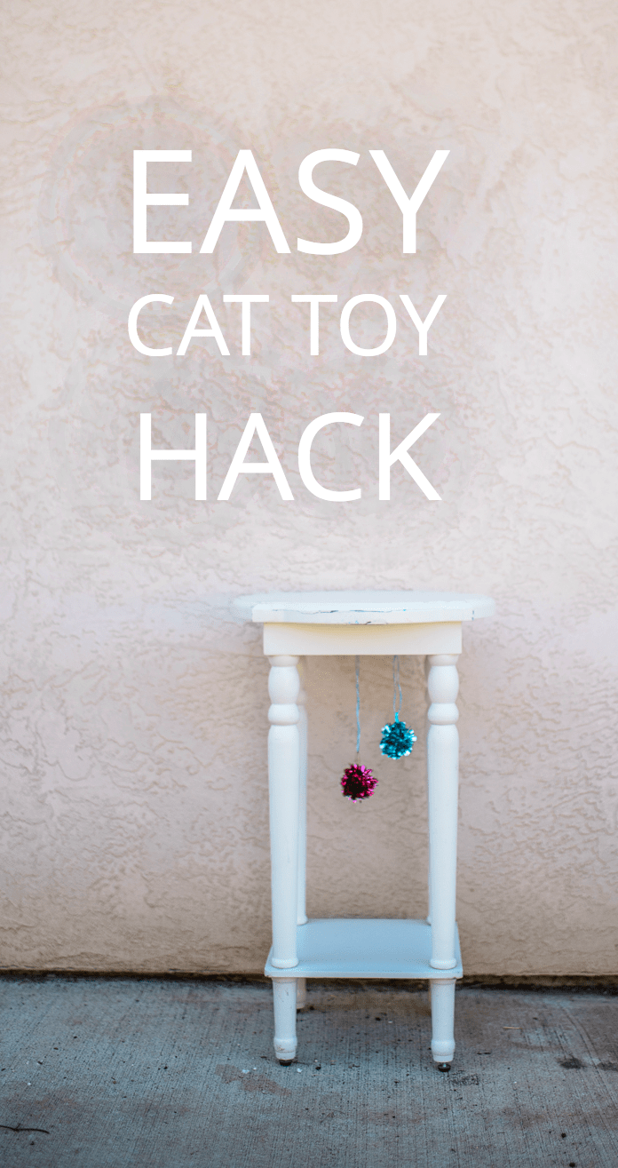 Easy Cat Toy Hack | DIY pet play area