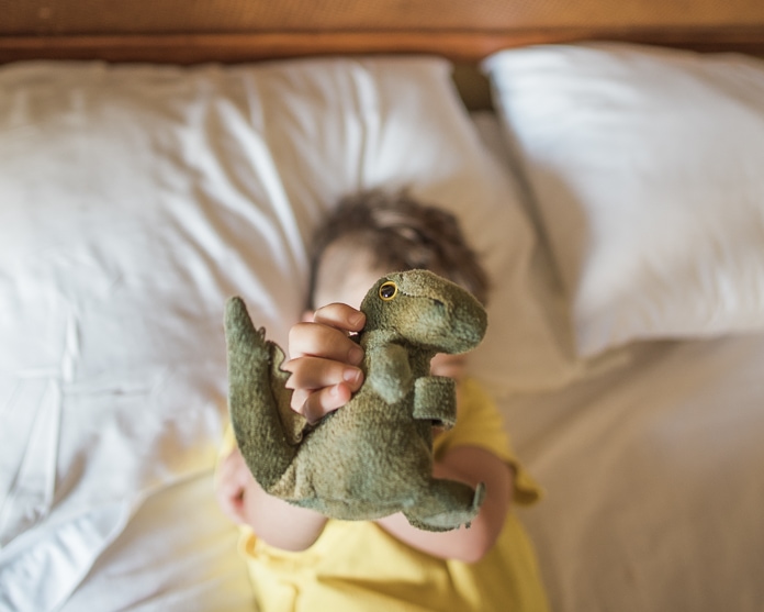 Mini dinosaur stuffed animal