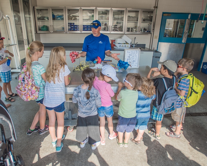 Childhood education at SeaWorld Rescue
