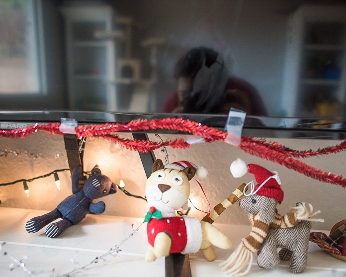 Stuffed animal Christmas decorations