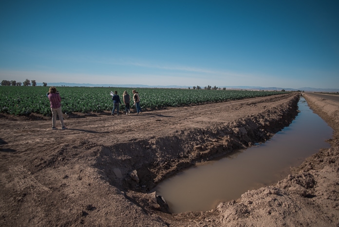 Water trenches in Imperial Valley