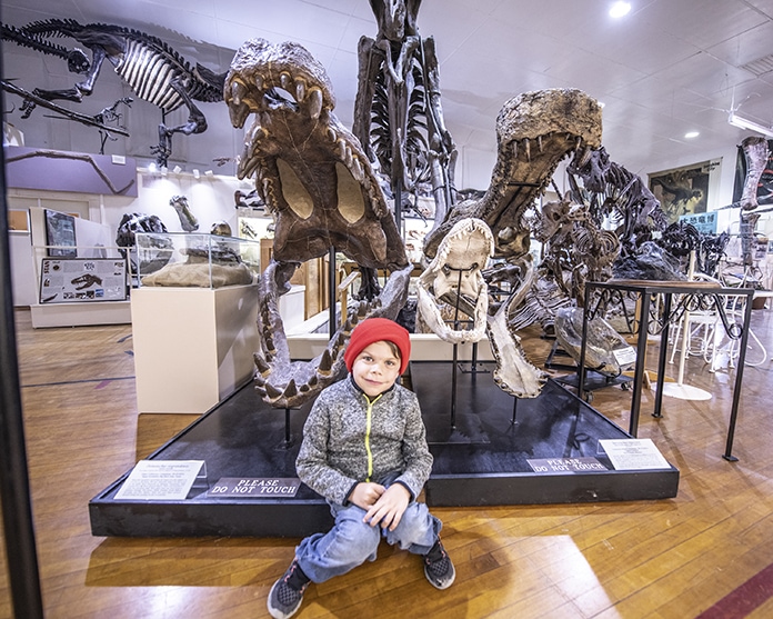 Little boy next to big fossils