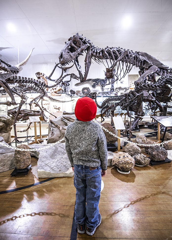 Small boy in front of large t-rex fossils