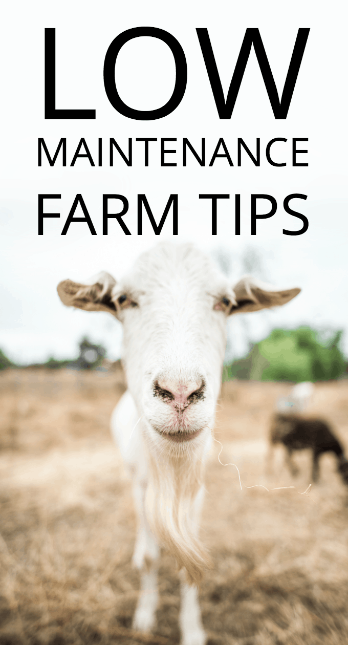 Is a low maintenance farm an oxymoron Not entirely