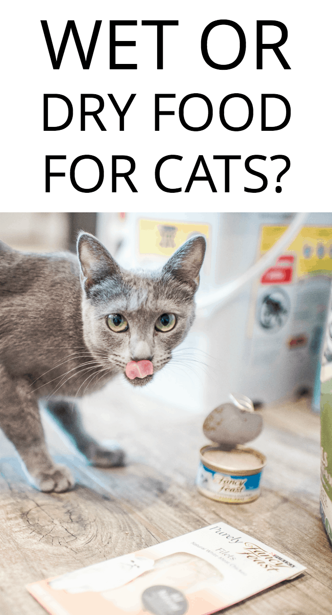 Which is better wet or dry food for cats