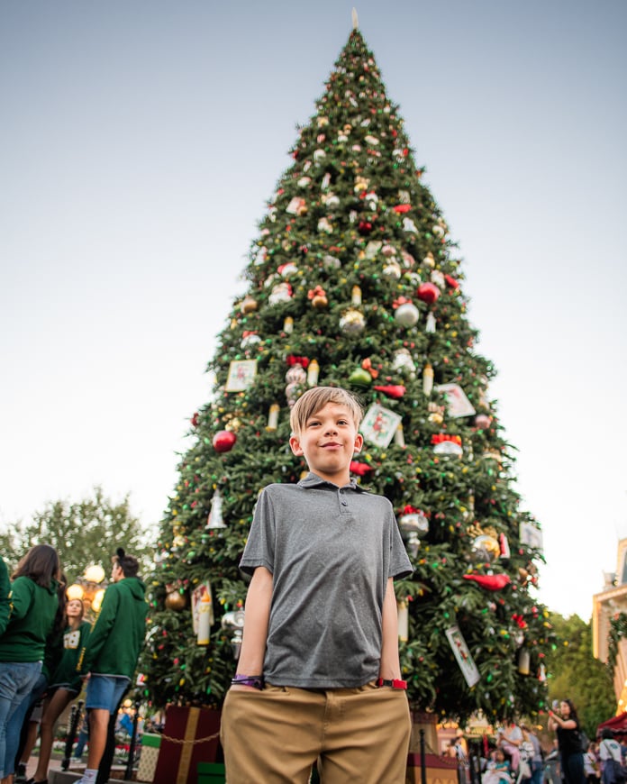 Disneyland Main Street Christmas tree