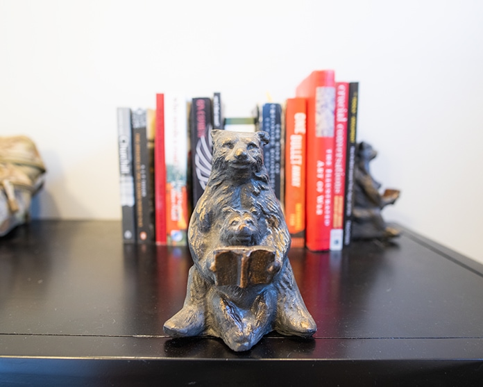 Grizzly bear book ends