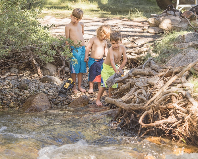 Three brothers swimming in a creek