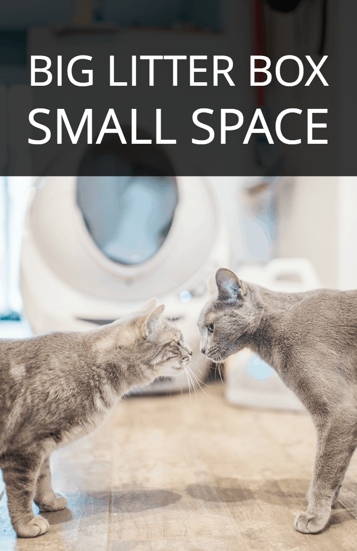 Small Space Big Litter Box Someday I Ll Learn