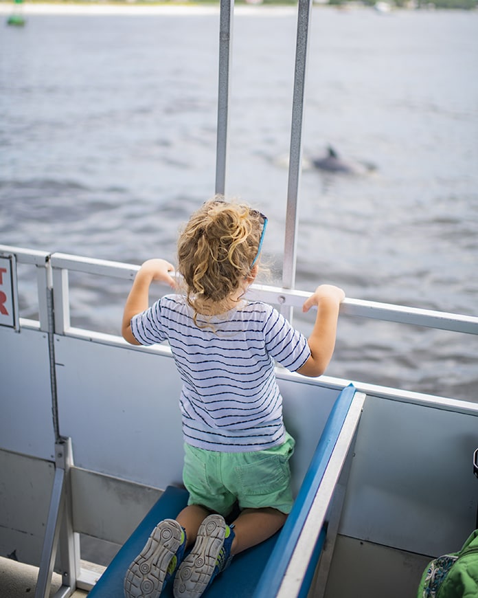 child watching dolphins near best florida beach for kids