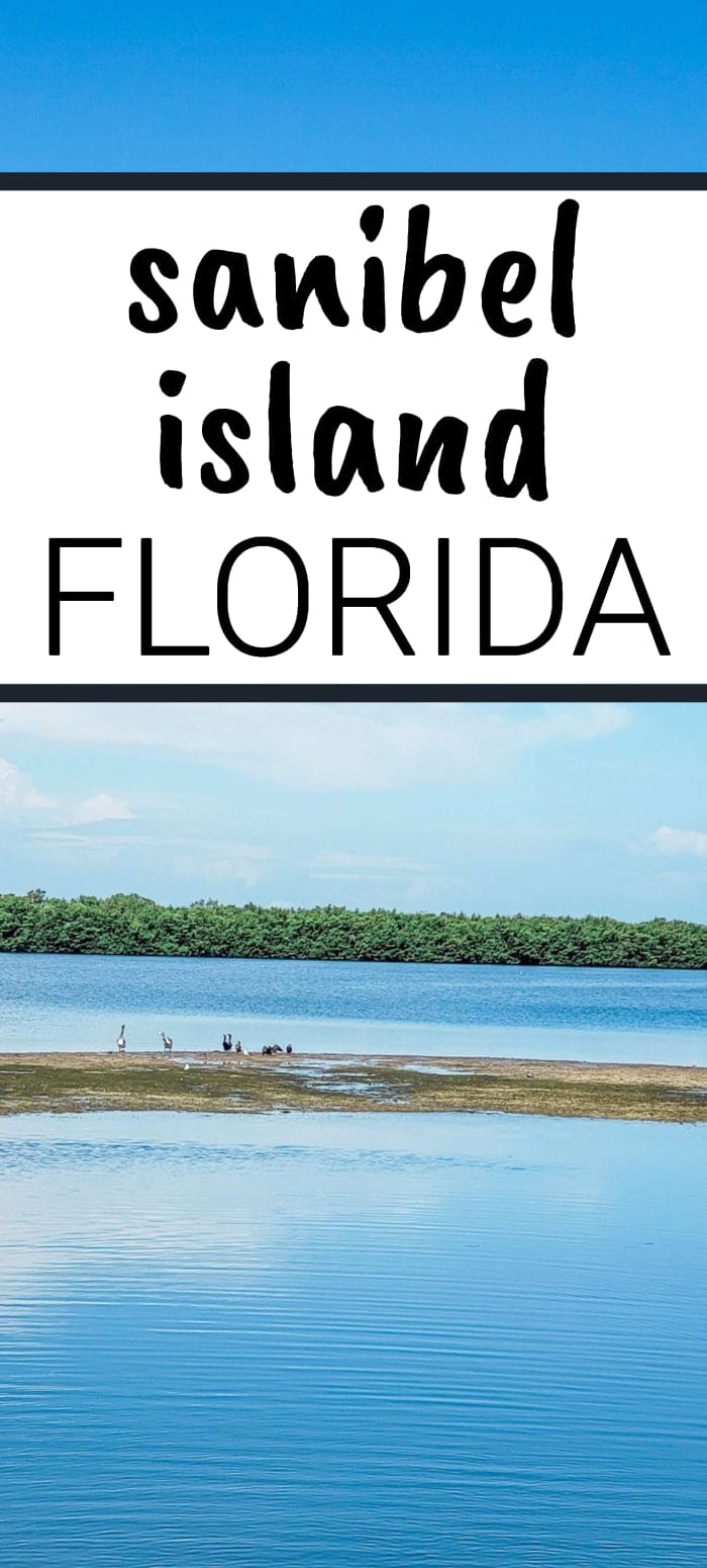 What to do in Sanibel Island Florida - including wildlife watching and tons of local sights
