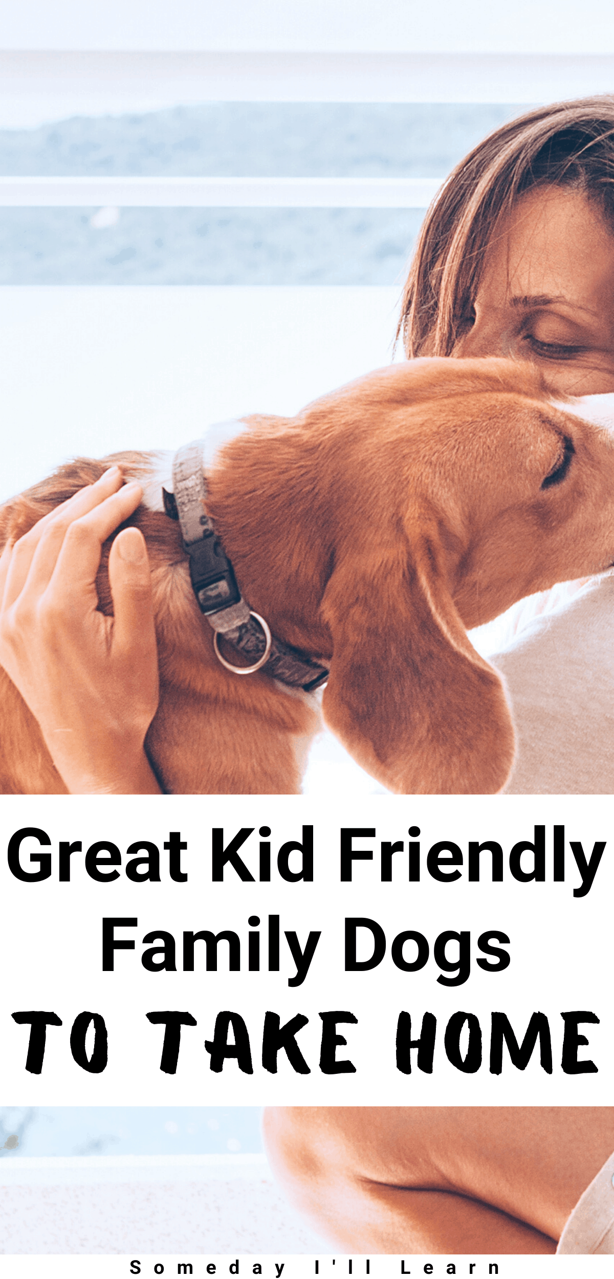 Great kid friendly family dogs