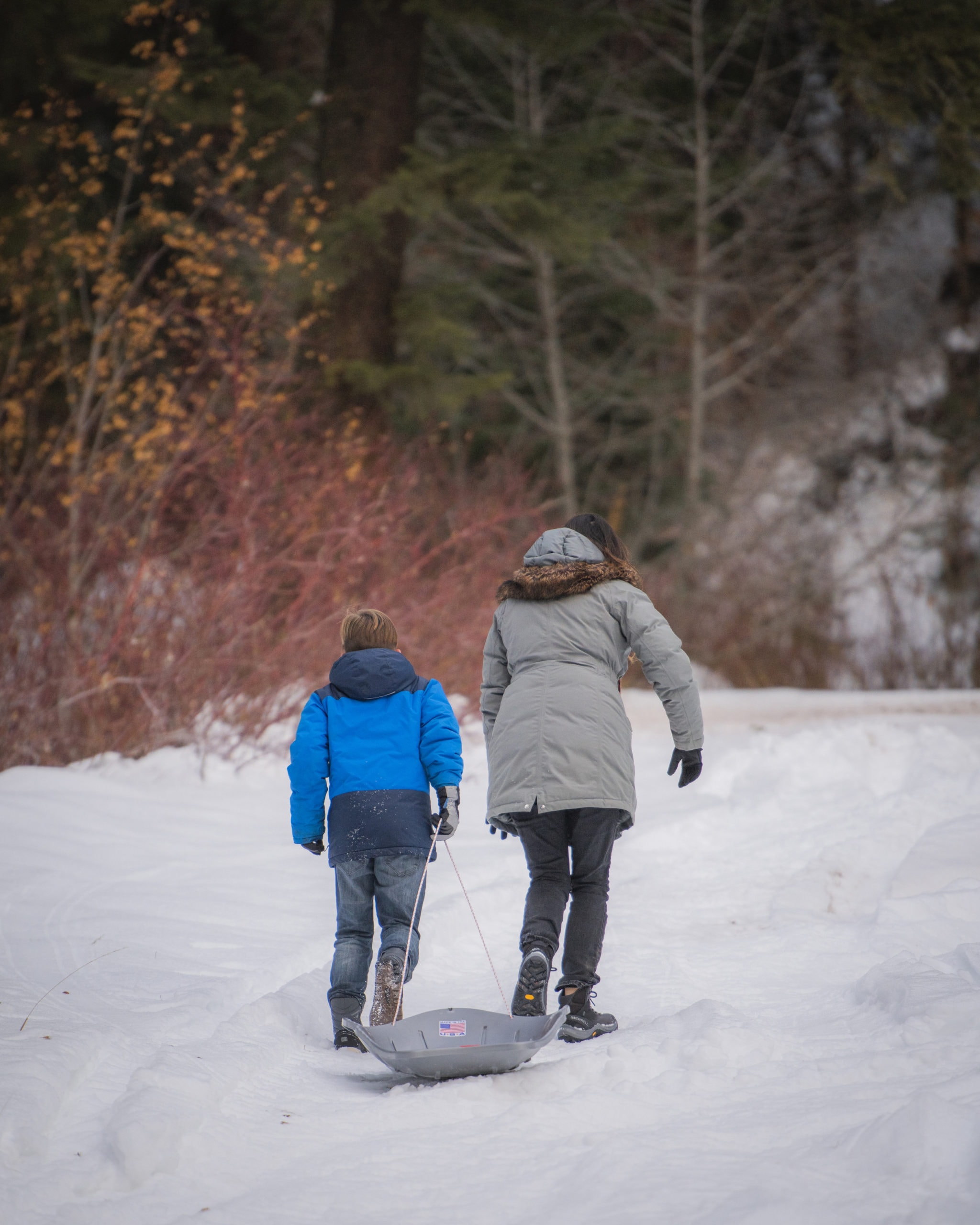 Mother pulling snow sled with little boy
