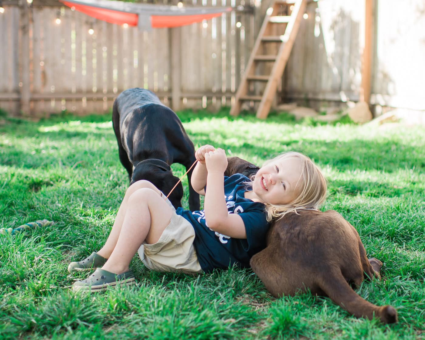Happy toddler with dogs