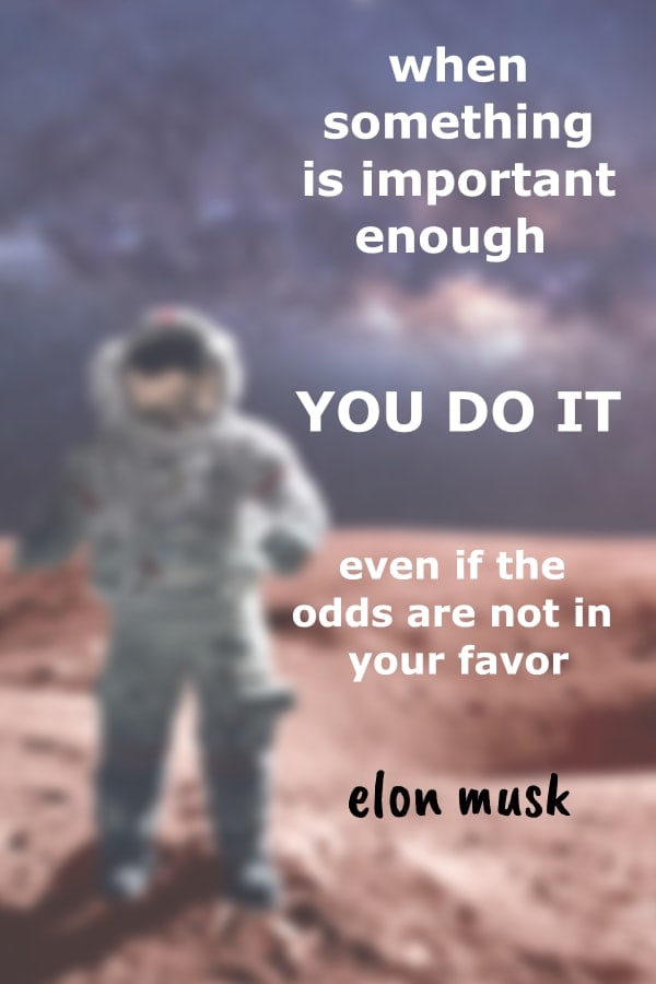 Elon musk quote