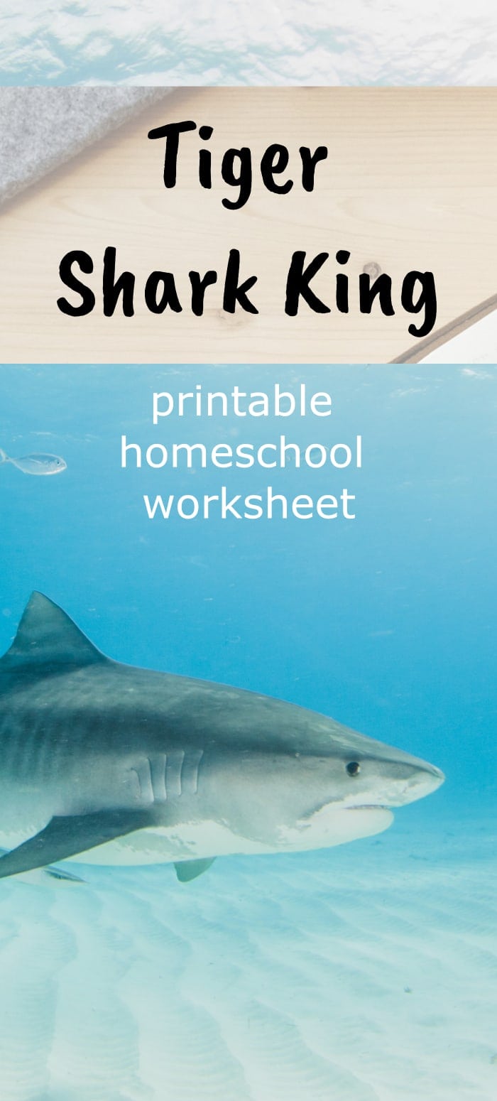 Tiger shark king printable homeschool worksheet
